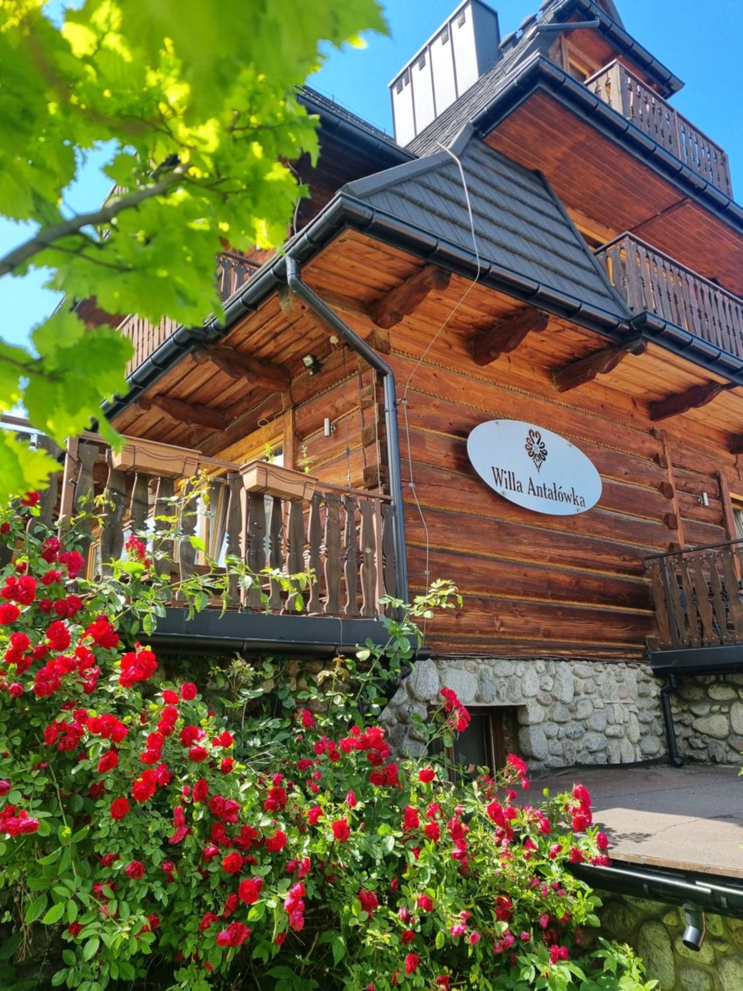 자코파네 윌라 엔타로우카 B&B 외부 사진